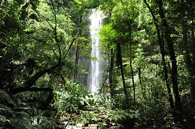 Cachoeira da RPPN Corredeiras do Rio Itajai, em Itaiópolis (SC)
