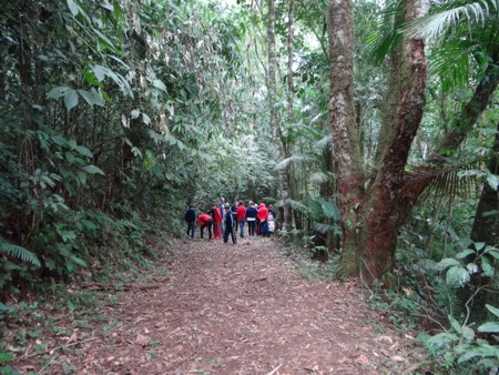 Estudantes do Colégio Caminho do Saber de Rio Negrinho (SC) nas trilhas do Centro Interpretativo da Mata Atlântica no dia 08/08/2014 